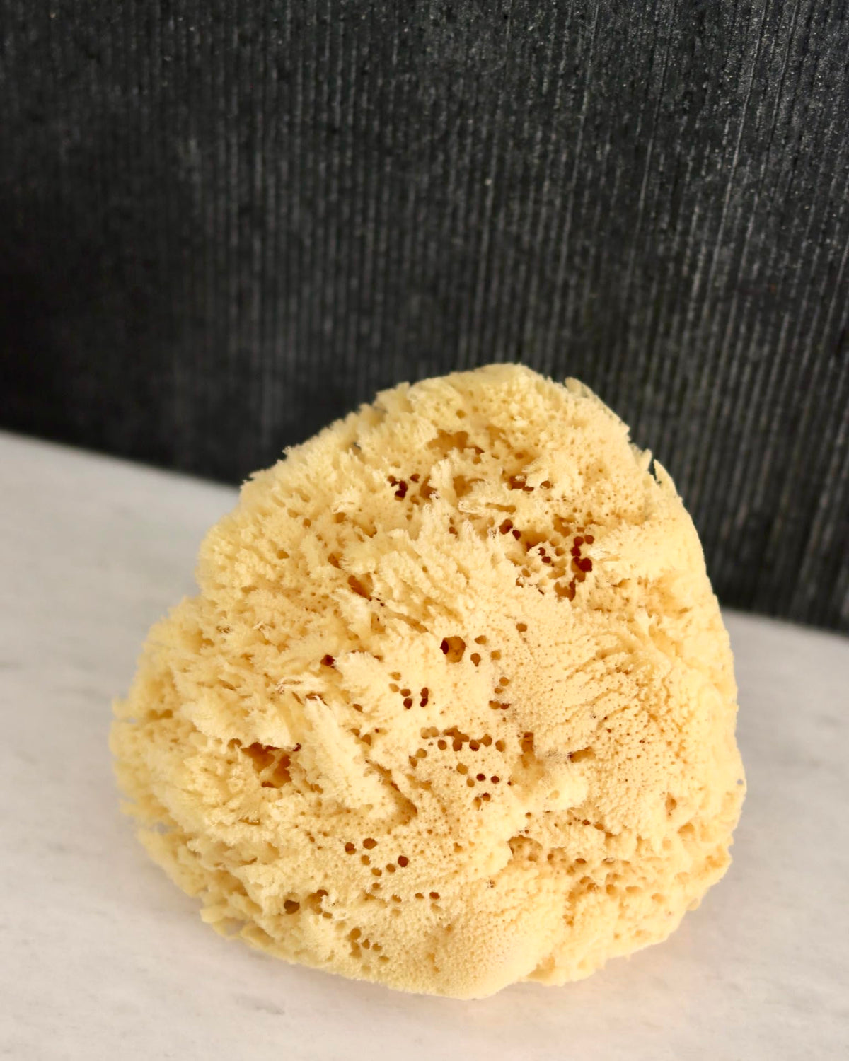 Constantia Beauty extra-large sponge suits larger hands for easier use.