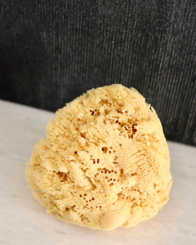 Constantia Beauty extra-large sponge suits larger hands for easier use.