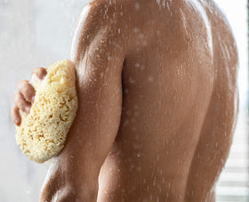 Constantia Beauty natural harvest promotes an eco-friendly grooming choice.