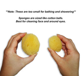 Constantia Beauty sea silk sponge suitable for babies, gentle on skin