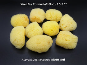 Constantia Beauty sea silk sponge cosmetic-grade material for beauty routines