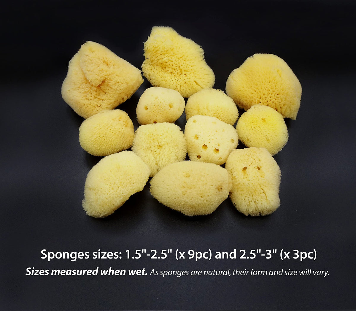 Constantia Beauty sea silk sponge for facial cleansing, gentle and absorbent