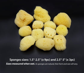 Constantia Beauty sea silk sponge for facial cleansing, gentle and absorbent