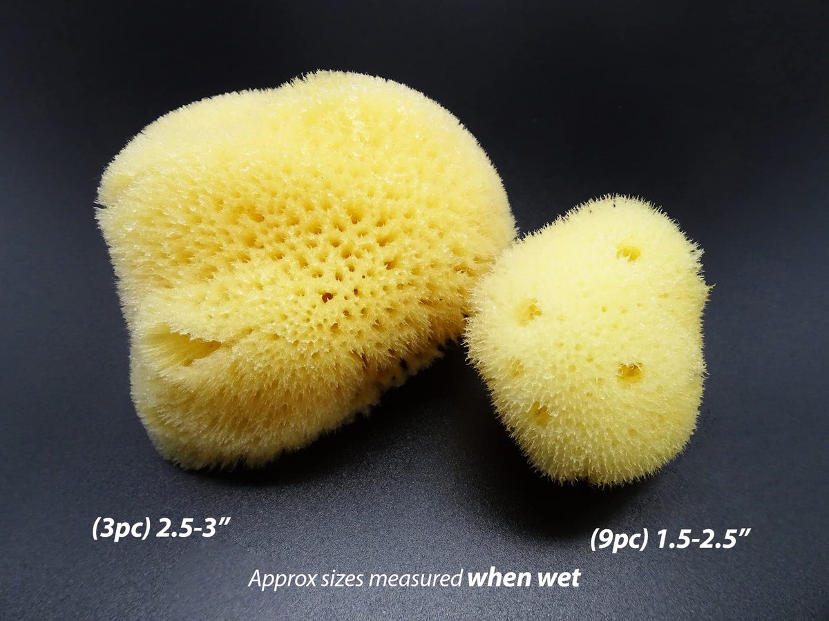 Constantia Beauty sea silk sponge for makeup removal, reusable alternative to pads