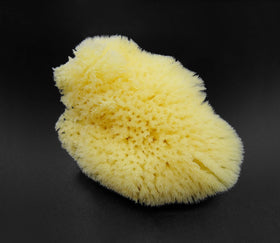 Constantia Beauty sea silk sponge for nail care, delicate and versatile