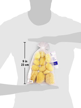 Constantia Beauty sea silk sponge in breathable storage bag for drying