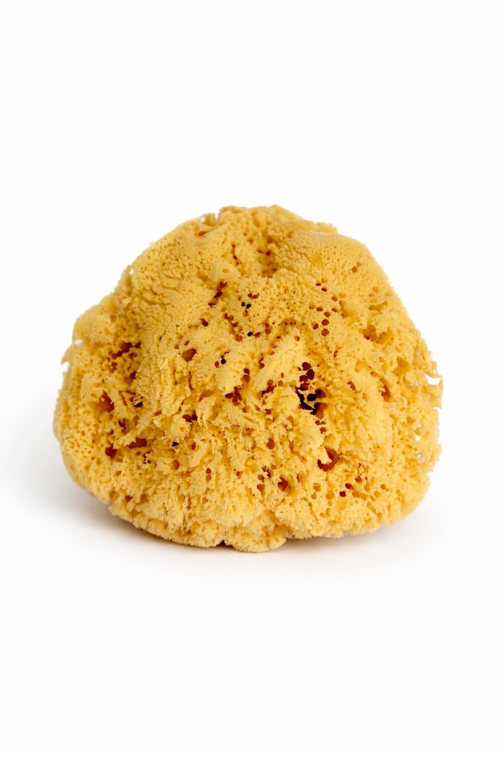 Constantia Beauty Real Sea Sponge for Men, extra-large 6-7 inch, provides gentle exfoliation.