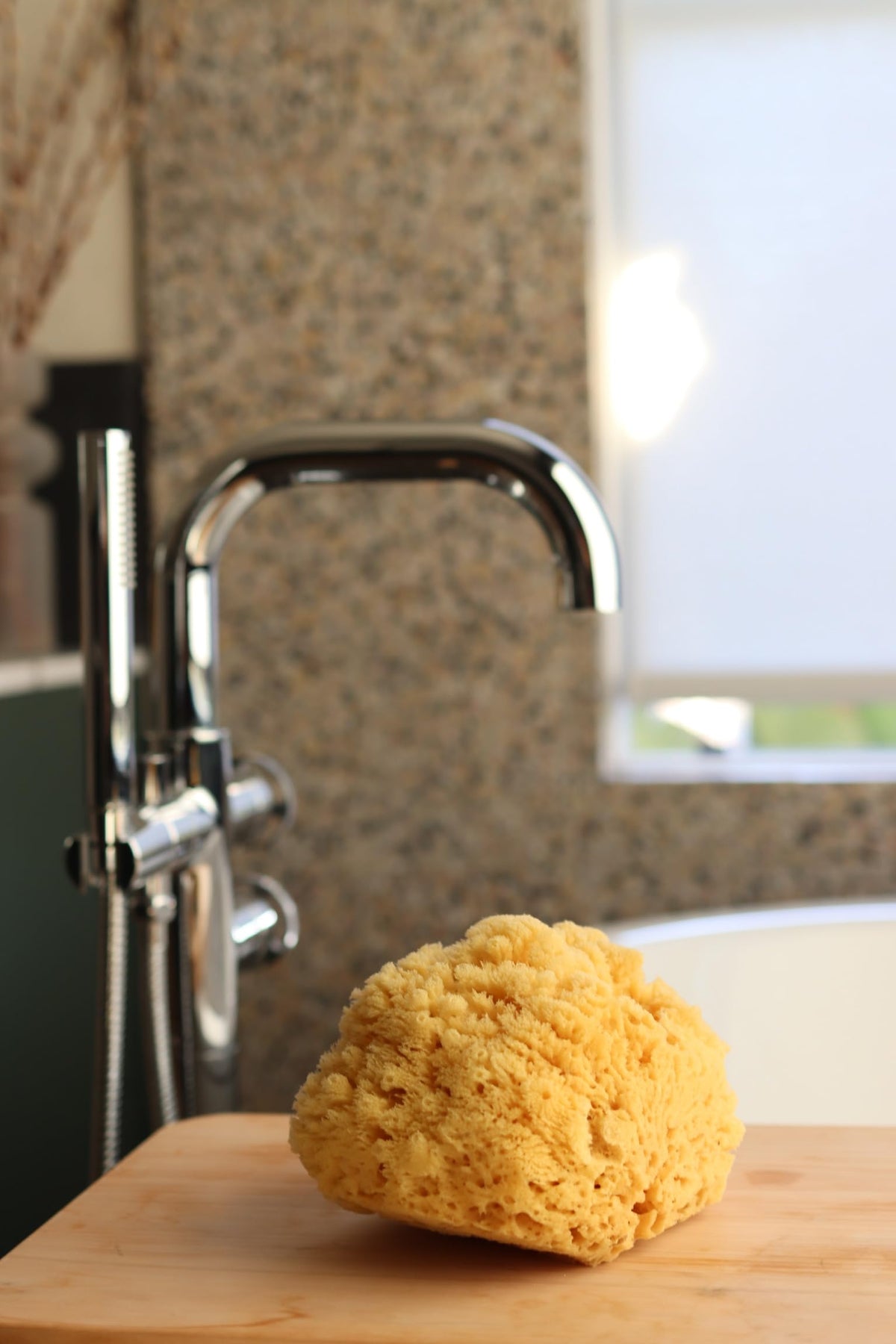 Constantia Beauty sea sponge exfoliating texture for smoother skin in the shower.