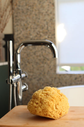 Constantia Beauty sea sponge exfoliating texture for smoother skin in the shower.