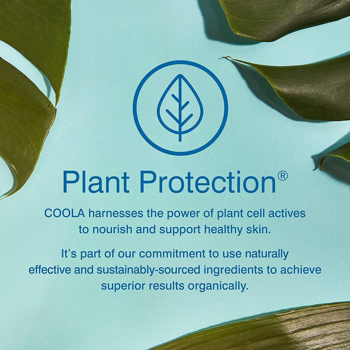 COOLA SPF 70 demonstrates water resistance up to 80 minutes during active use.
