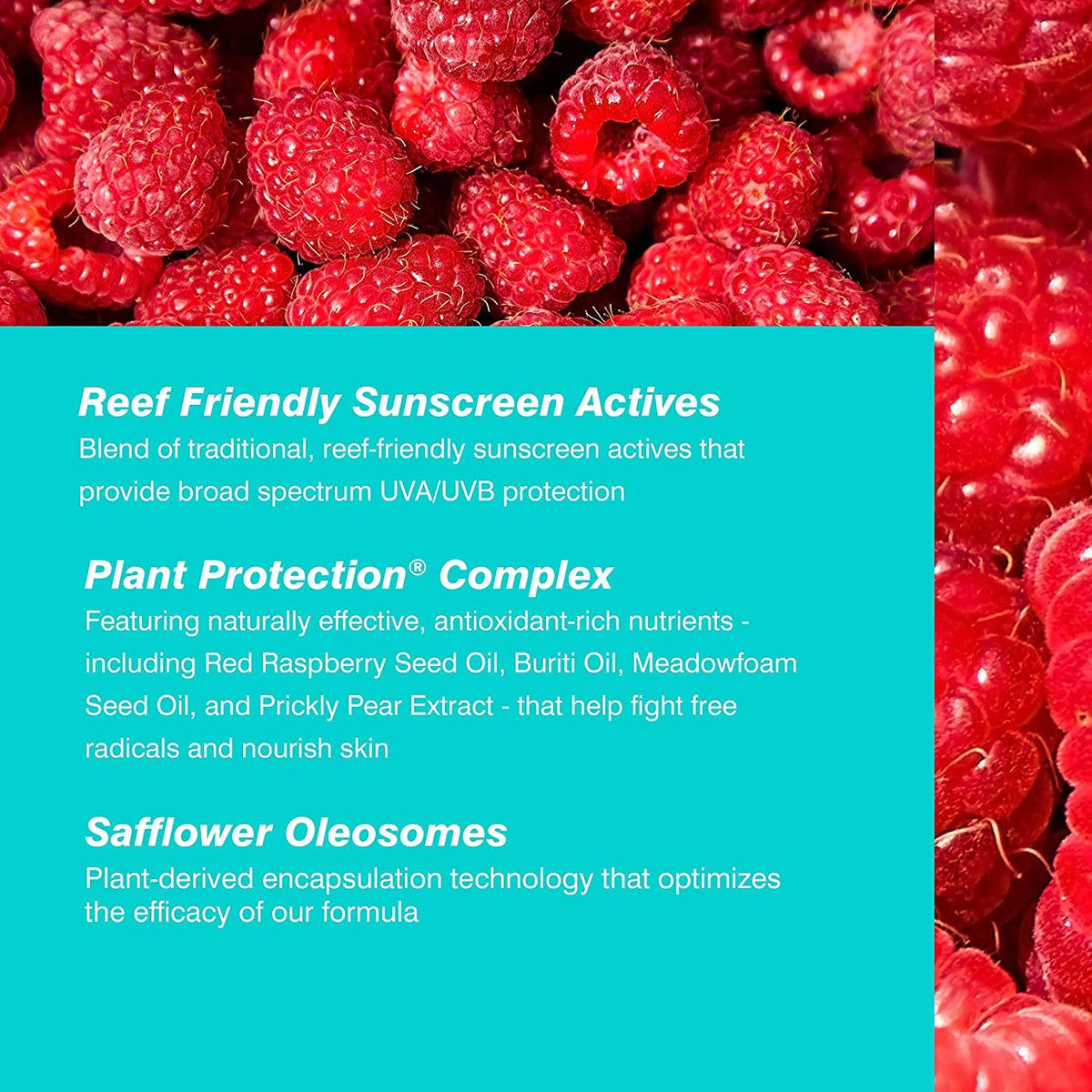 COOLA vegan and gluten-free sunscreen packaging for eco-conscious shoppers.