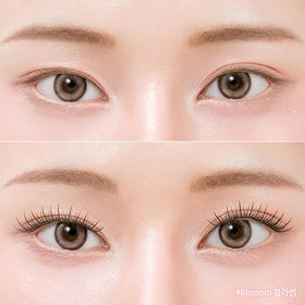 CORINGCO Toktok Hara Light lashes across four styles and lengths for versatility.