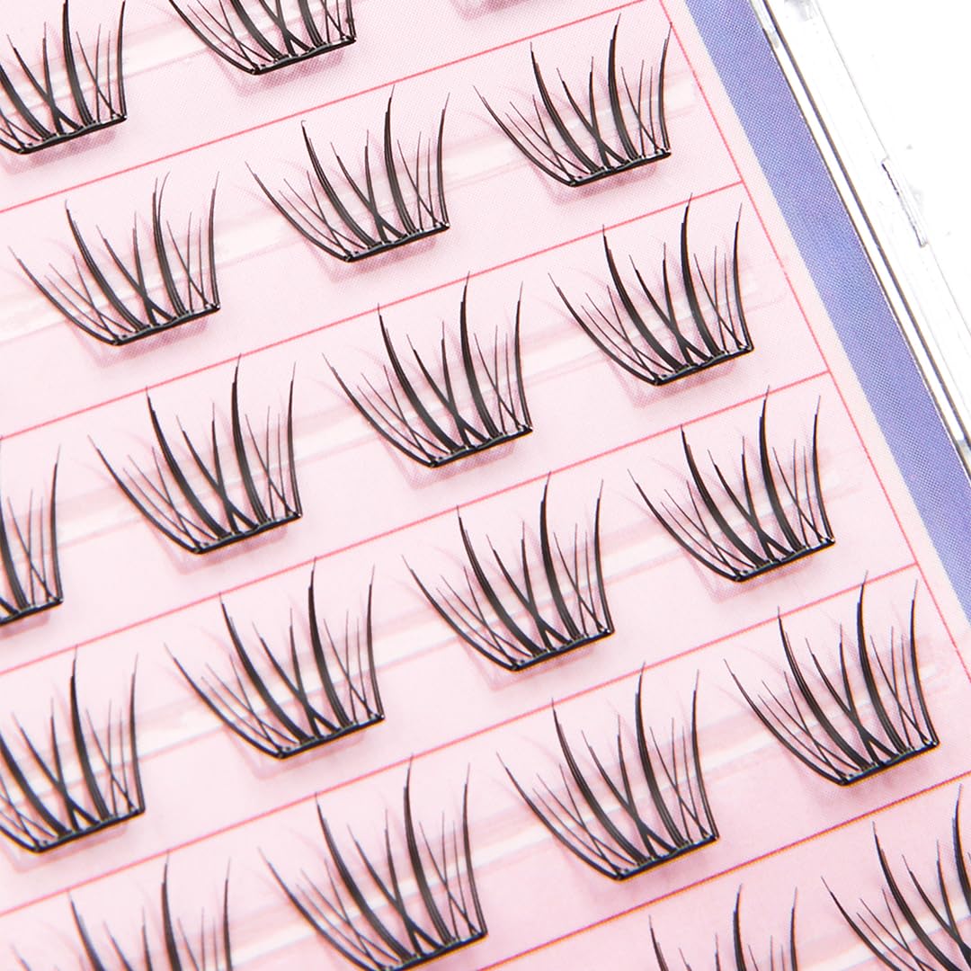 CORINGCO Toktok Hara Light lashes and reusable clusters for multiple uses.