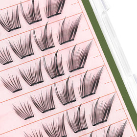 Reusable lash clusters from CORINGCO Toktok Hara Light for multiple uses.