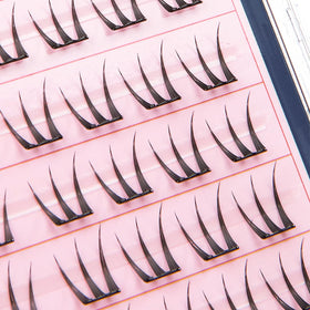 CORINGCO Toktok Hara lashes waterproof hold for all-day wear
