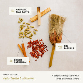 Cremo Palo Santo scent with cardamom and papyrus for premium ritual.