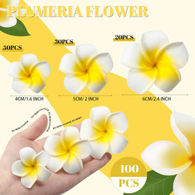 Crowye plumeria hair clip 2 inch size lightweight and stable for easy styling
