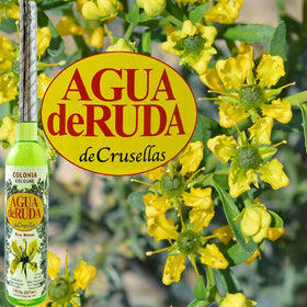 Close-up of Crusellas Rue Water label highlighting rue-inspired notes.