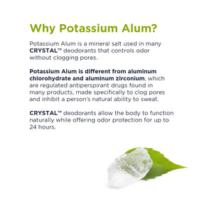 Crystal Essence unscented deodorant in a gym bag for everyday activity.