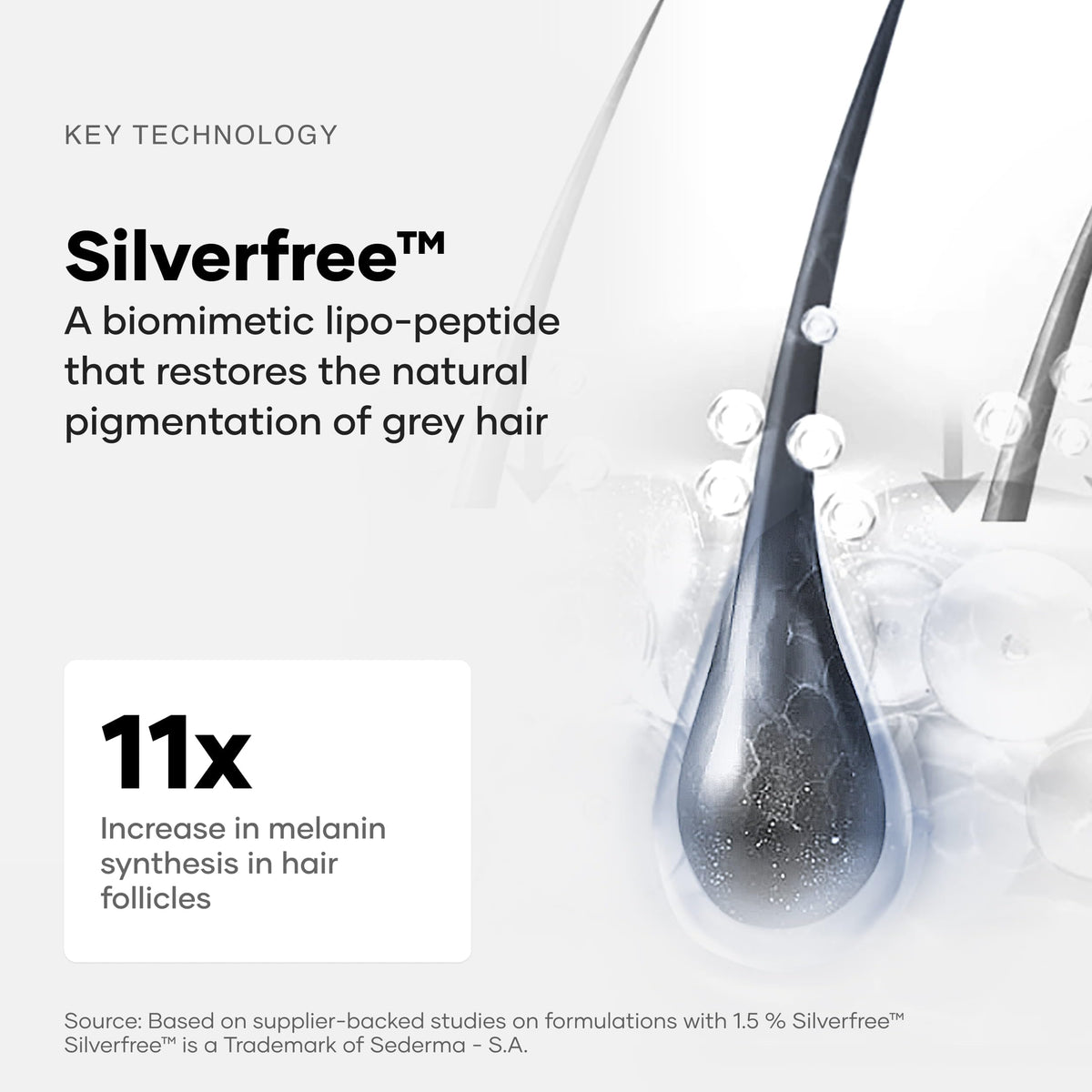 Cureskin Anti Grey Hair Serum close-up on scalp application for even color.