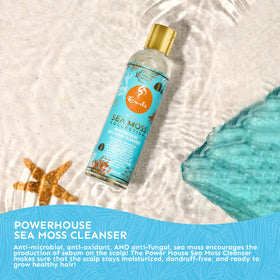Curls Sea Moss Powerhouse Hair Cleanser lather on hair for purified scalp.