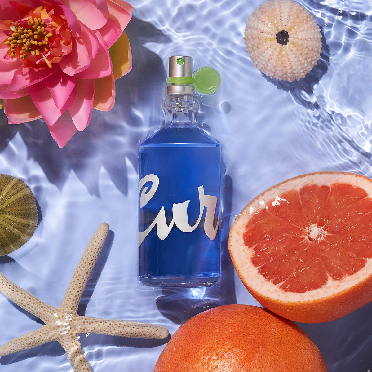 Curve musk base-note adds long-lasting warmth and depth.