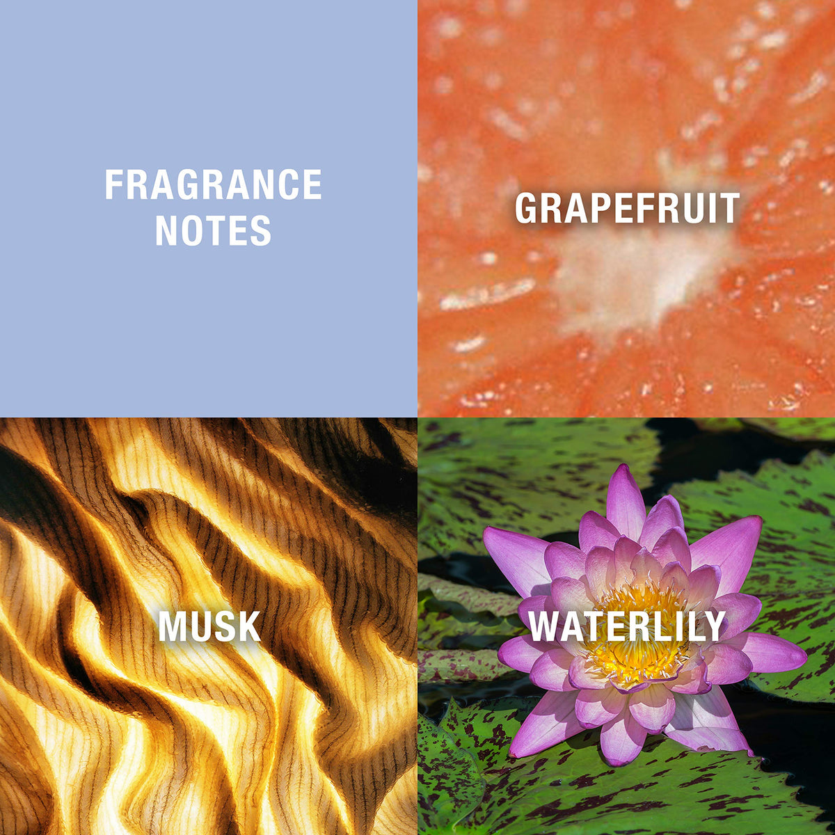 Curve fragrance top-notes grapefruit for a bright, joyful opening.