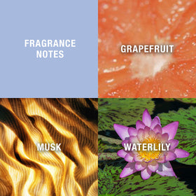 Curve fragrance top-notes grapefruit for a bright, joyful opening.