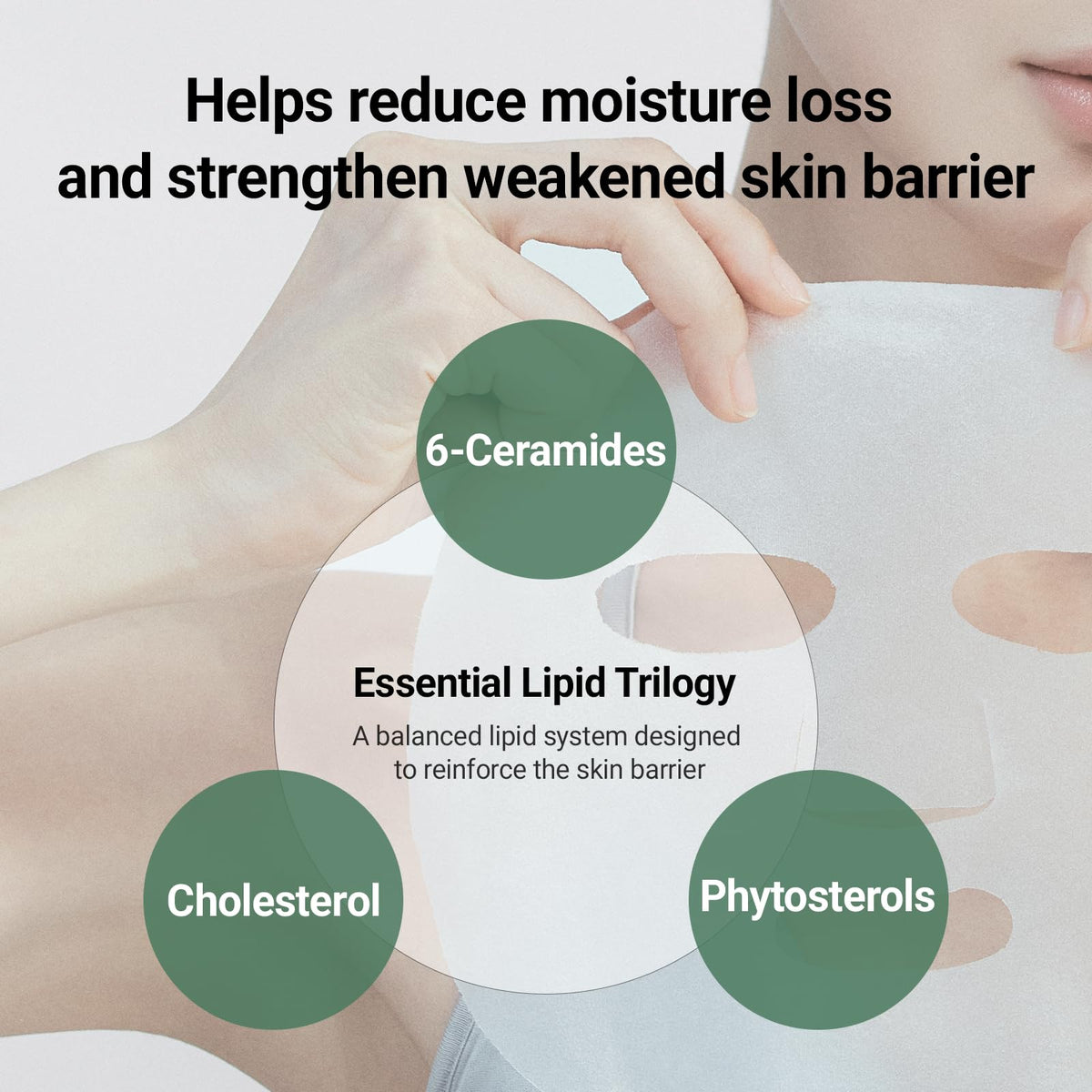 DA EFFECT sheet mask close-up highlights barrier-restoring lipids and ceramides