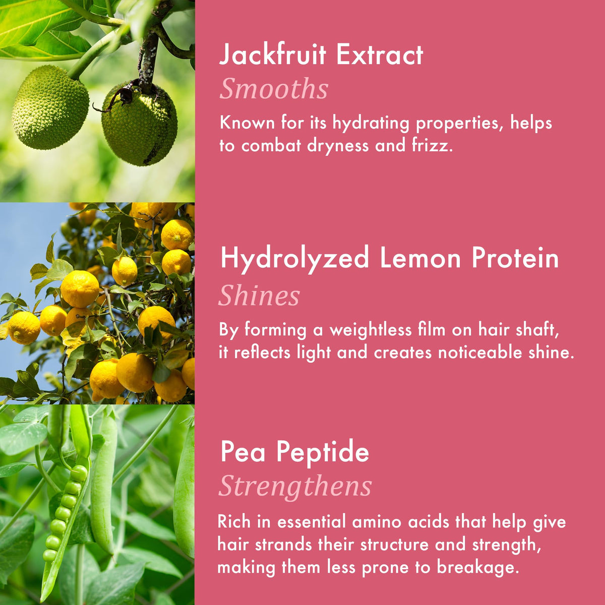 Dabble & Dollop Cherry on Top pea protein supports lightweight conditioning