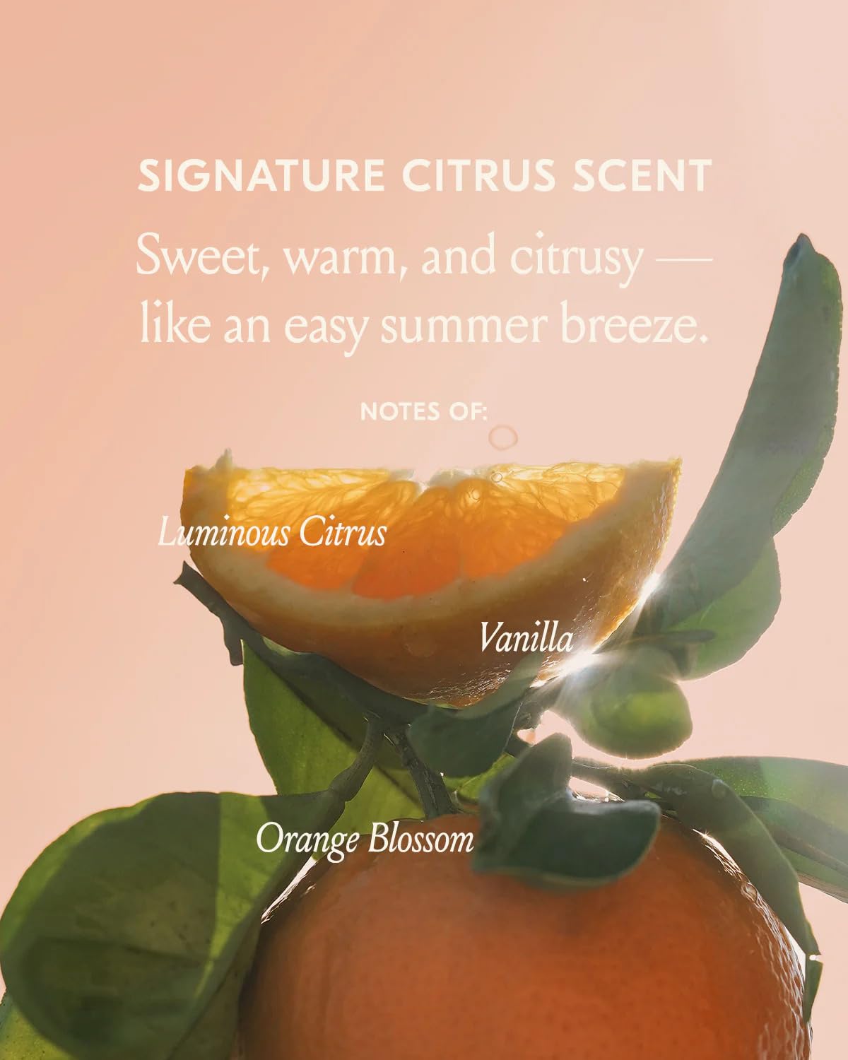 DAE Freshly Squeezed Wash Set lather demonstrates airy foam and gentle cleanse