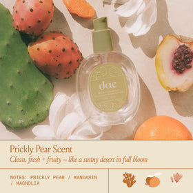 DAE Prickly Pear Seed Oil ingredients emphasize moisture and softness
