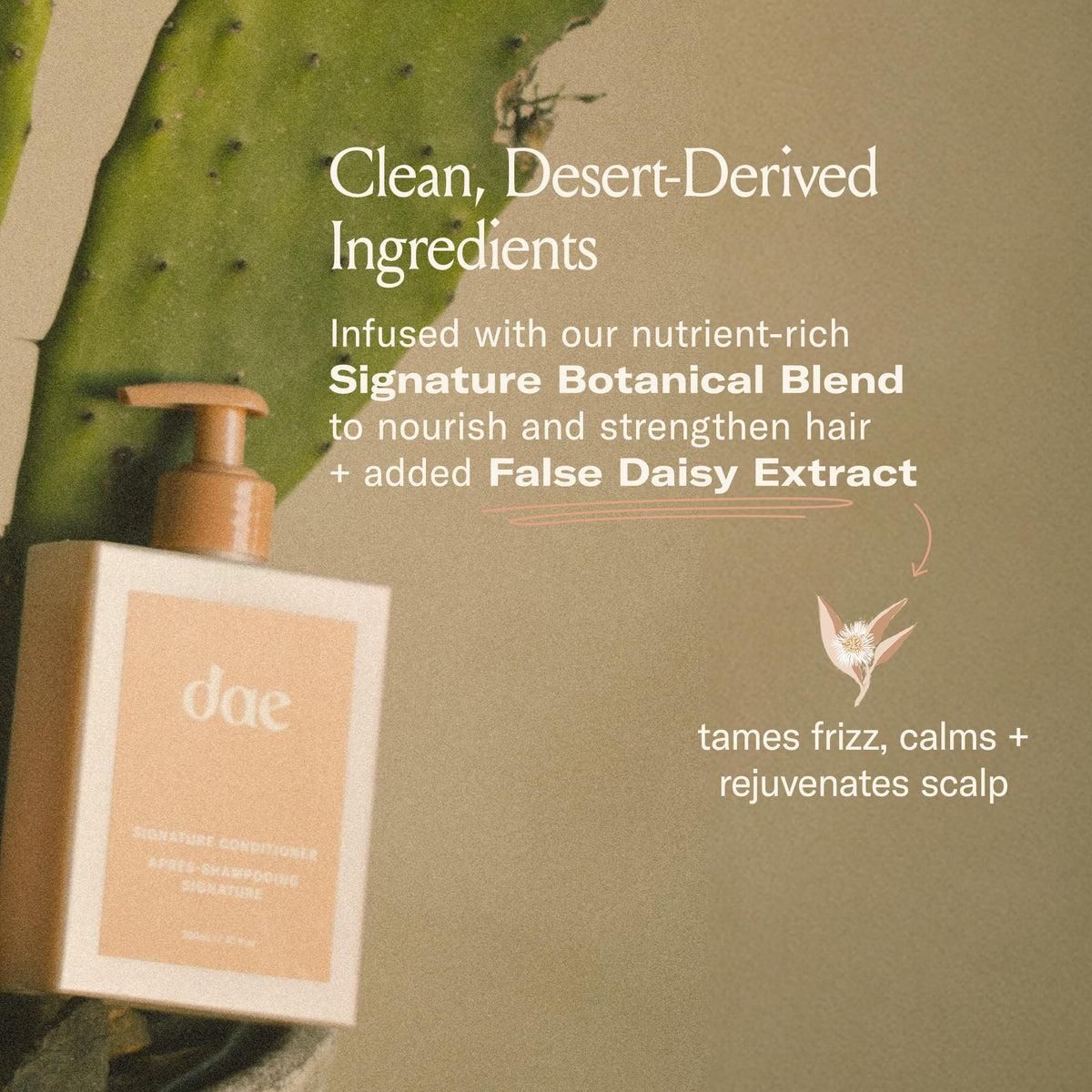DAE Signature Conditioner coconut oil swirl embodies hydration and detangling benefits