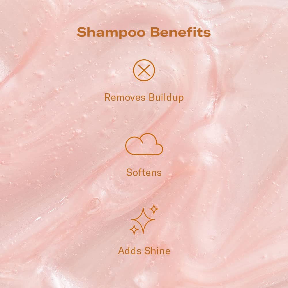 DAE Signature Shampoo bottle back highlights hibiscus, moringa, and false daisy benefits.