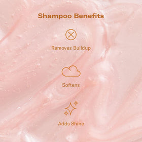 DAE Signature Shampoo bottle back highlights hibiscus, moringa, and false daisy benefits.