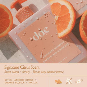 DAE Signature Shampoo hibiscus extract close-up emphasizes moisture retention.