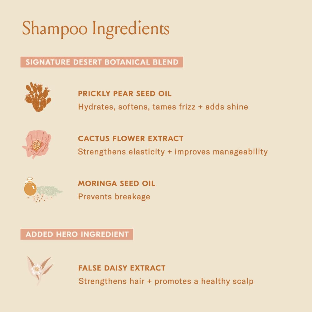 DAE Signature Shampoo moringa oil close-up showing moisture restoration.