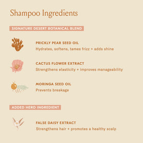 DAE Signature Shampoo moringa oil close-up showing moisture restoration.