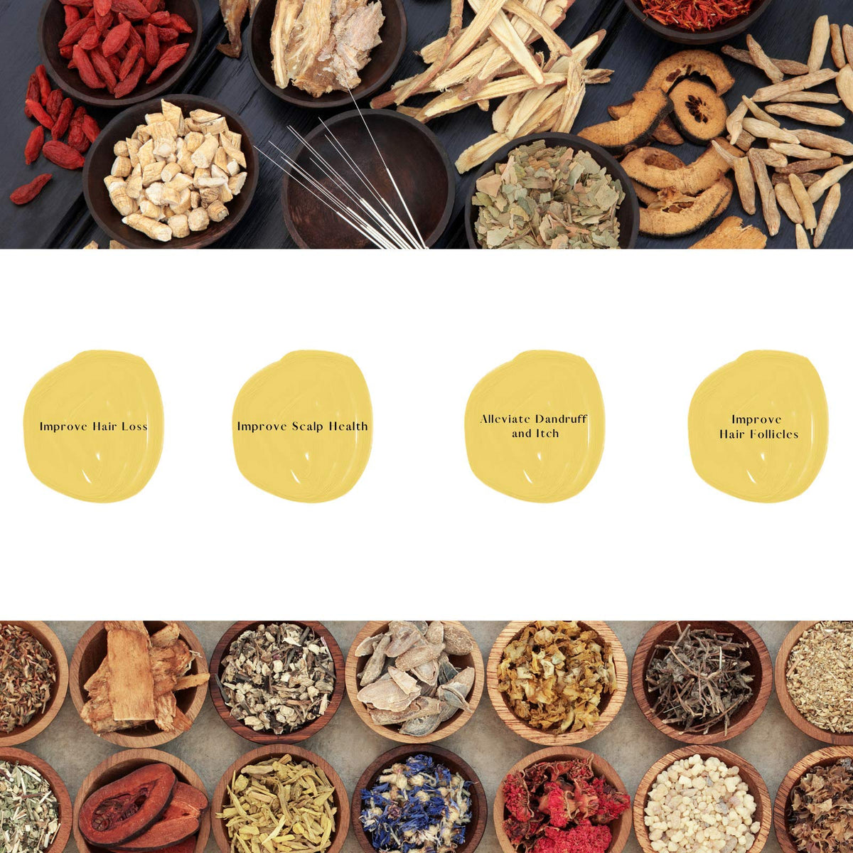 Daeng Gi Me Ri Ki Gold ginseng extract centerpiece for hair nourishment.