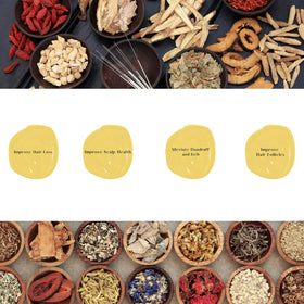 Daeng Gi Meo Ri Ki Gold Premium Treatment packaging on display.
