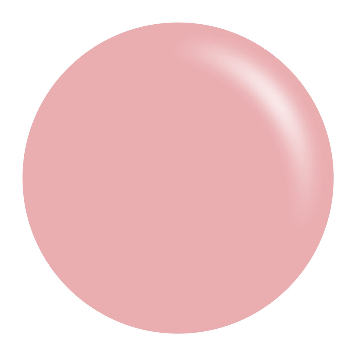Daisy DND Pumpkin Latte lacquer bottle close-up with glossy finish
