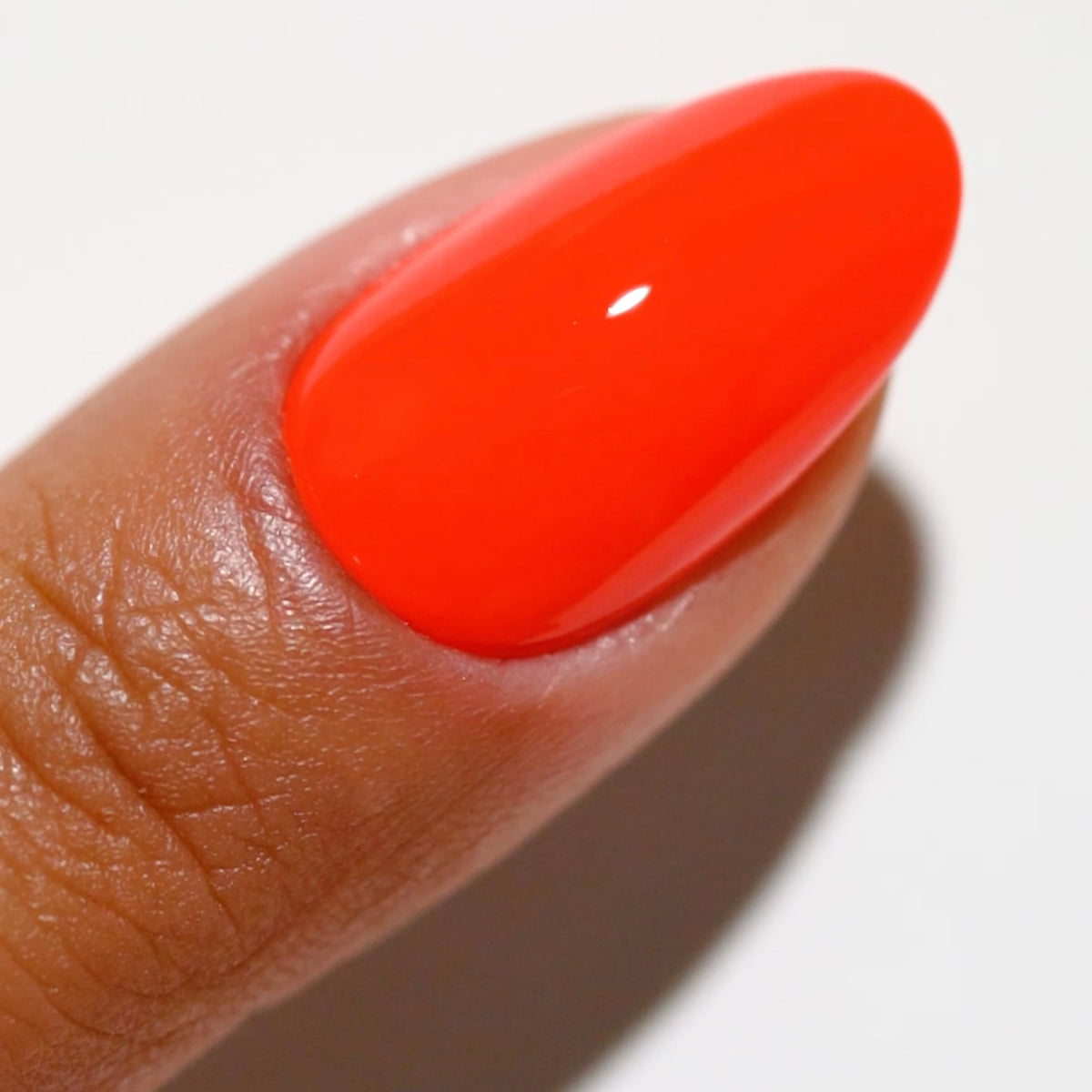Daisy DND Untamed 2542 color swatch shows warm neon shade