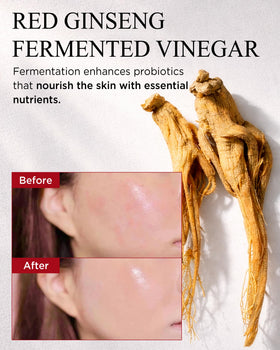 Danahan fermentation jar highlights traditional 6-year ginseng processing.