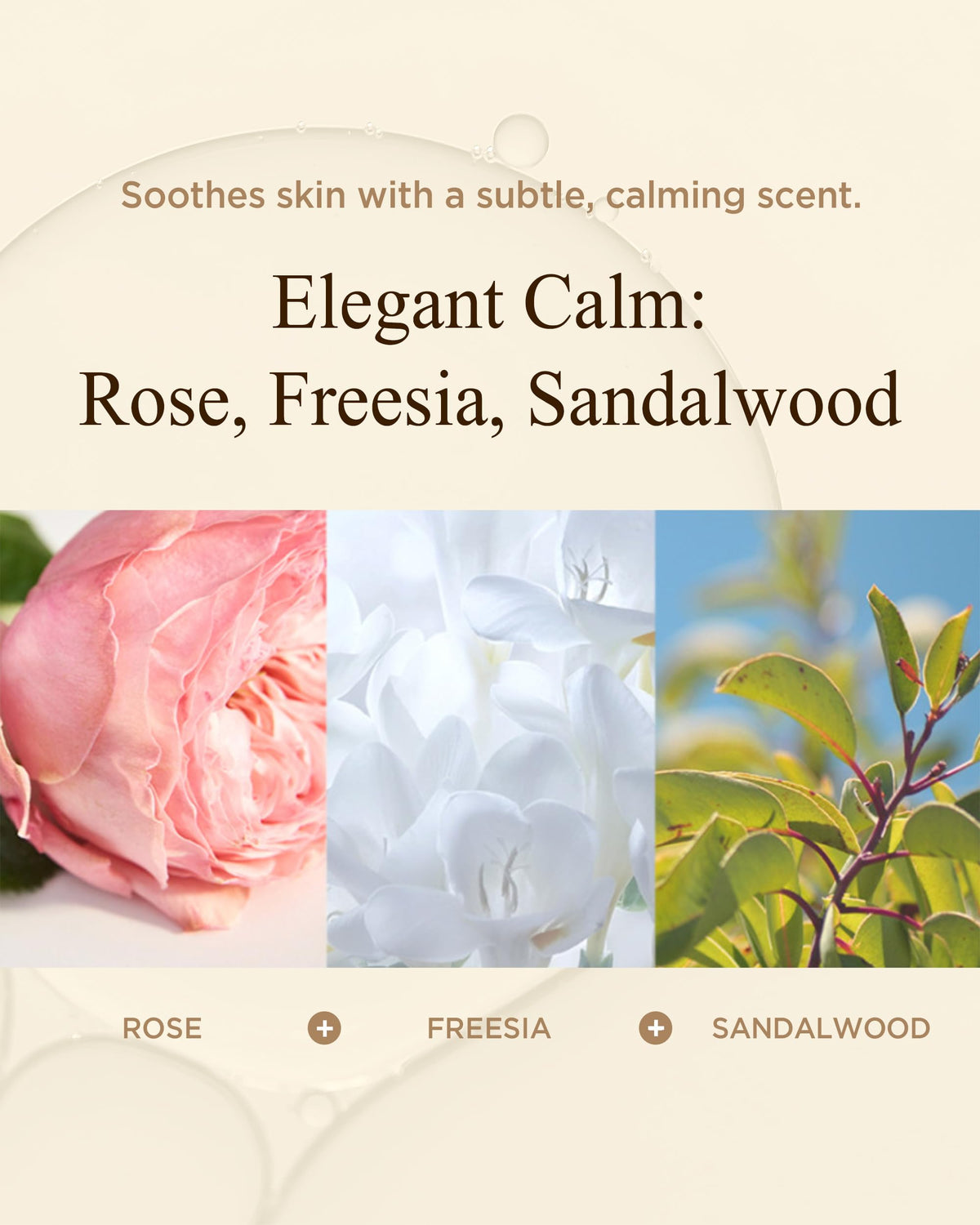 Danahan night routine usage image, overnight moisture for deeply nourished skin.
