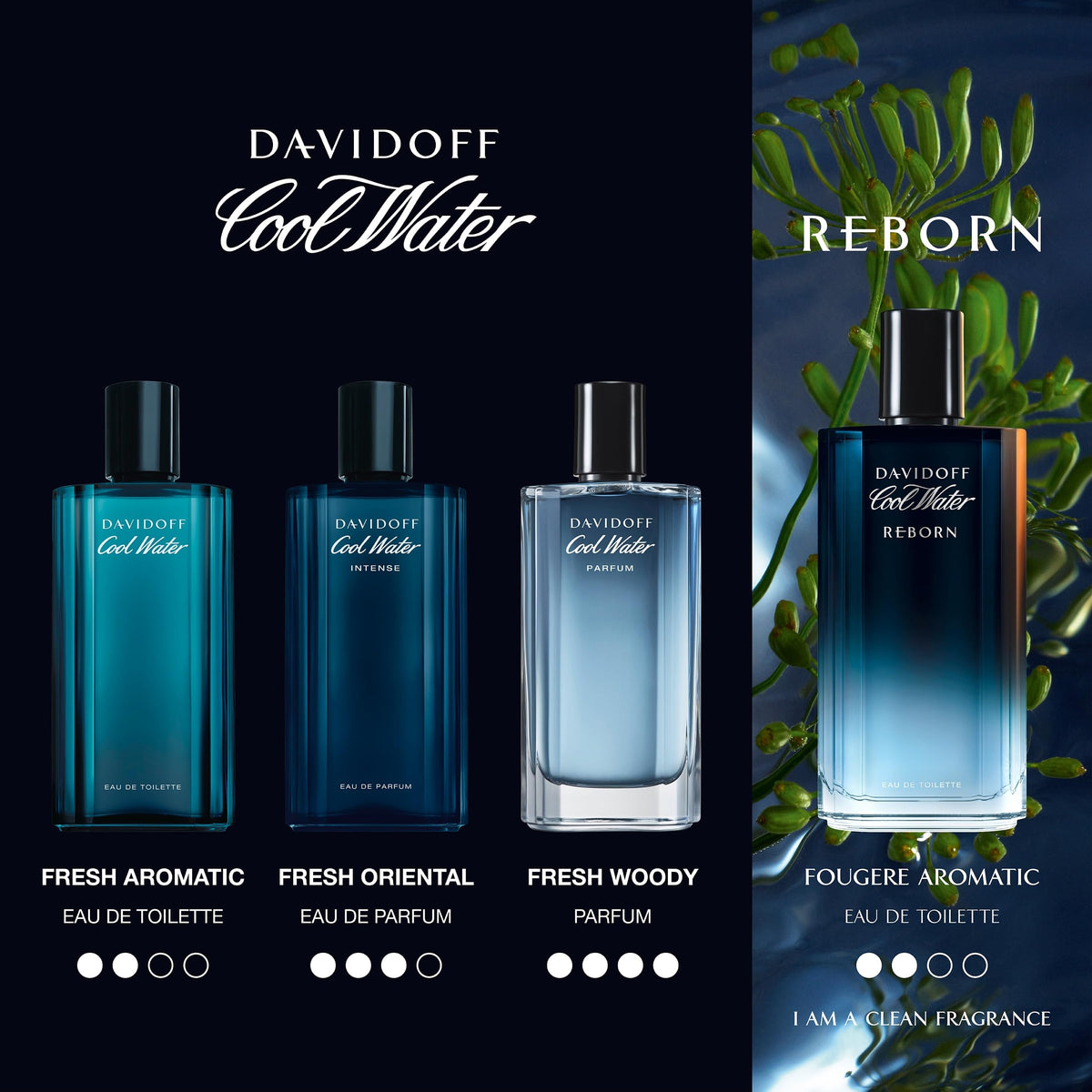 Davidoff Cool Water Intense cap detail reflecting refined masculine style