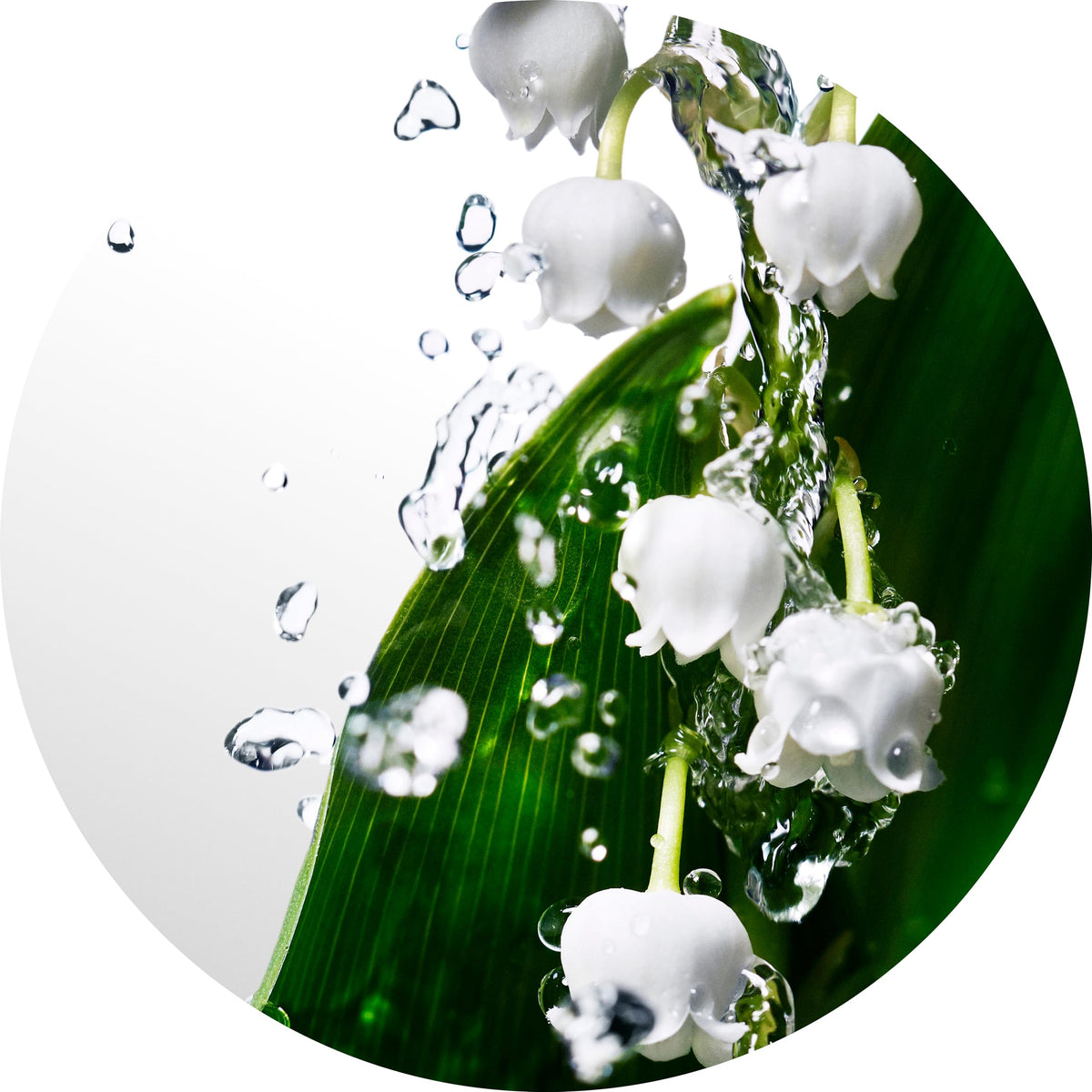 Davidoff Cool Water Woman musk note provides a soft, comforting trail.