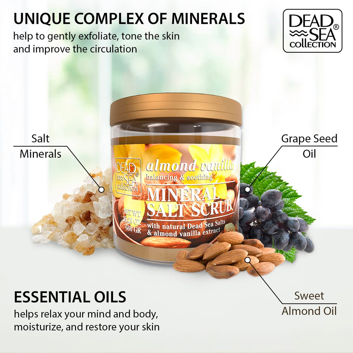 Scoop of Dead Sea Collection Almond Vanilla Salt Scrub showing creamy texture
