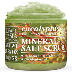 Dead Sea Collection Eucalyptus Salt Scrub jar close-up highlighting mineral exfoliation.