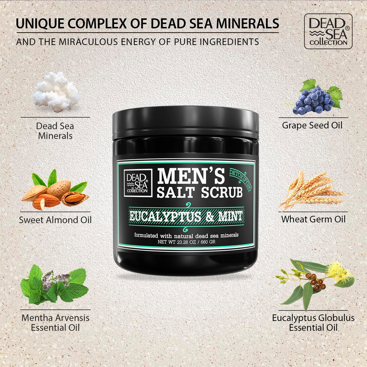 Dead Sea Collection jar scoop reveals creamy eucalyptus mint formula for refreshing use.