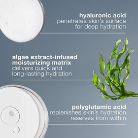 Dermalogica Circular Hydration Serum with algae extract ingredient highlight.